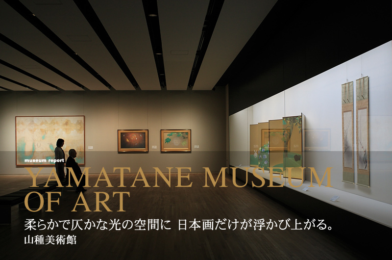 柔らかで仄かな光の空間に日本画だけが浮かび上がる。山種美術館
