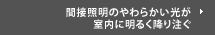 間接照明のやわらかい光が室内に明るく降り注ぐ