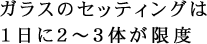 ガラスのセッティングは1日に2～3体が限度